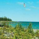 wynnfield crossing website