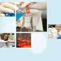 tsrl website