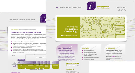 Web Site Design