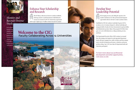 CIC annual report